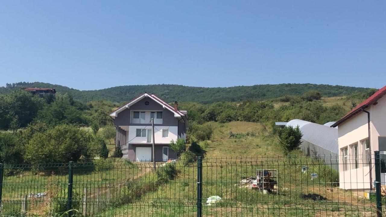 Lidia House Alba Iulia Exterior foto