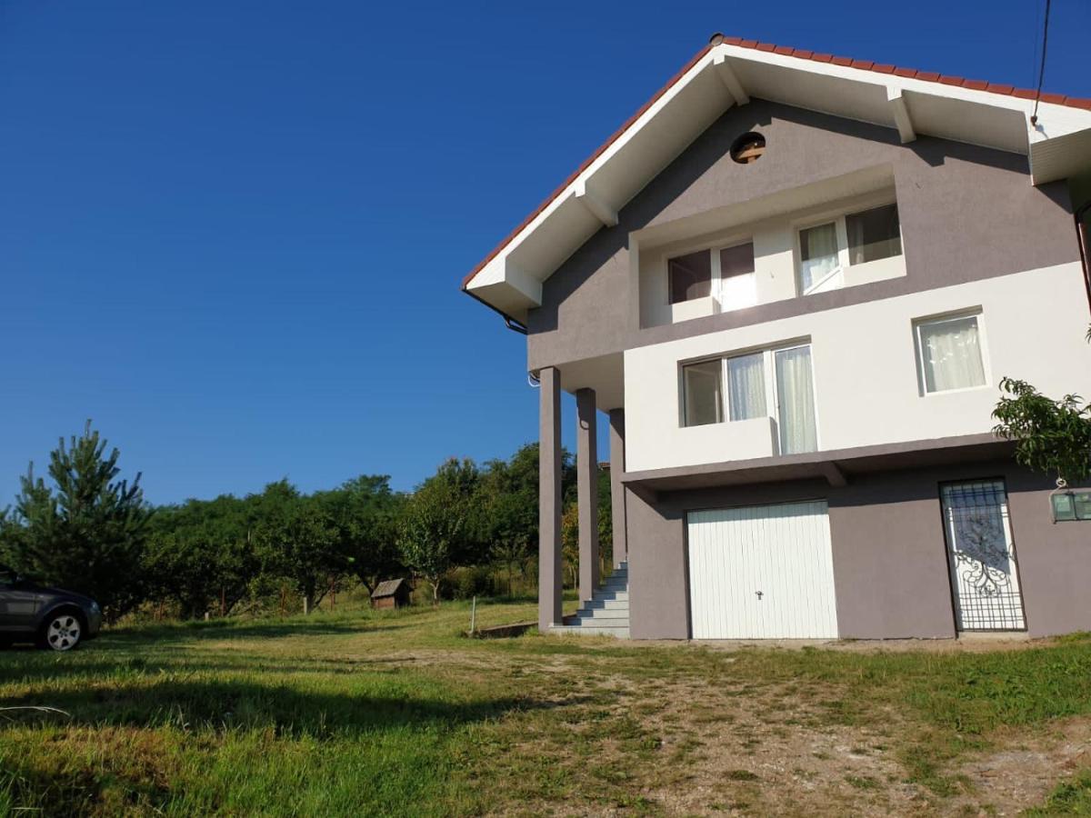 Lidia House Alba Iulia Exterior foto