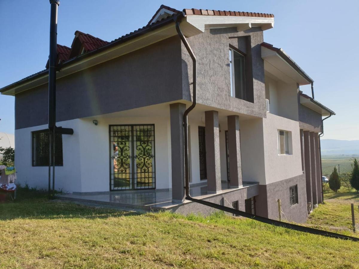 Lidia House Alba Iulia Exterior foto